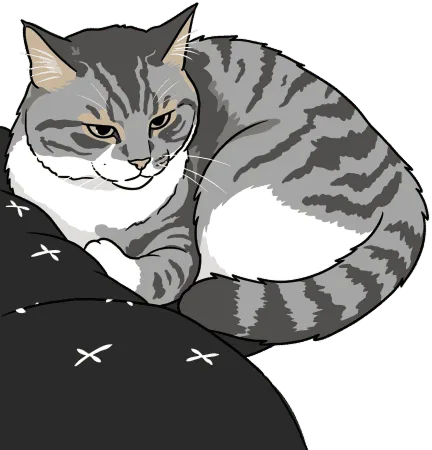 Our Cat Cat